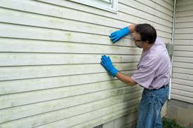 Best Wood Siding Installation  in Dimondale, MI